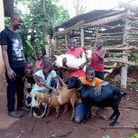 Goats purchased for livelihood!