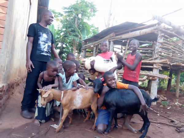 Goats purchased for livelihood!