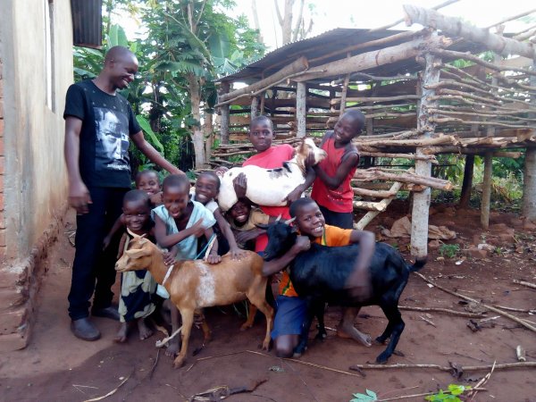 Goats purchased for livelihood!