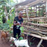 Goats purchased for livelihood!