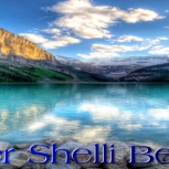 Cover 4
