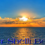Cover 5