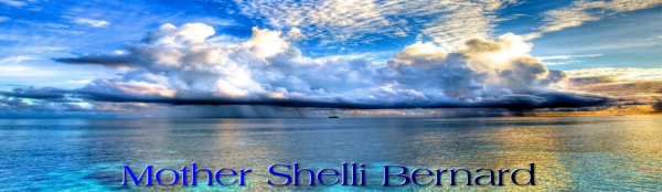 Cover 6