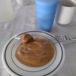 IMG_20170204_083127