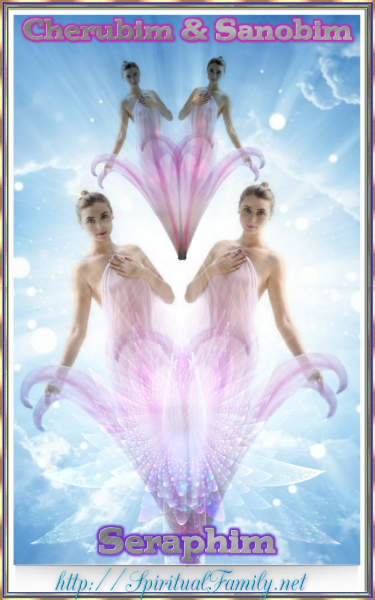 Cherubim and Seraphim