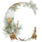 Christmas Celebrations