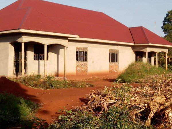 New Building Design