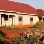 New Building Design