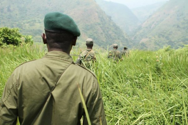 Virunga Park Rangers on patrol