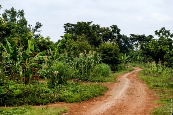 Kamuli road