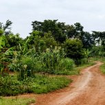 Kamuli road