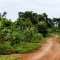 Kamuli road