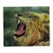 African Lion Painting