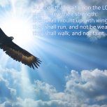 Isaiah 40:31 Jpg 1.8mb