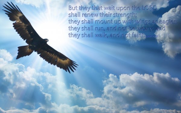 Isaiah 40:31