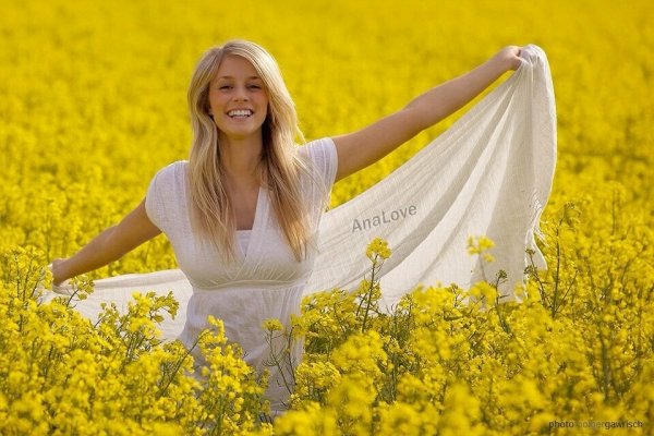 Sunshine