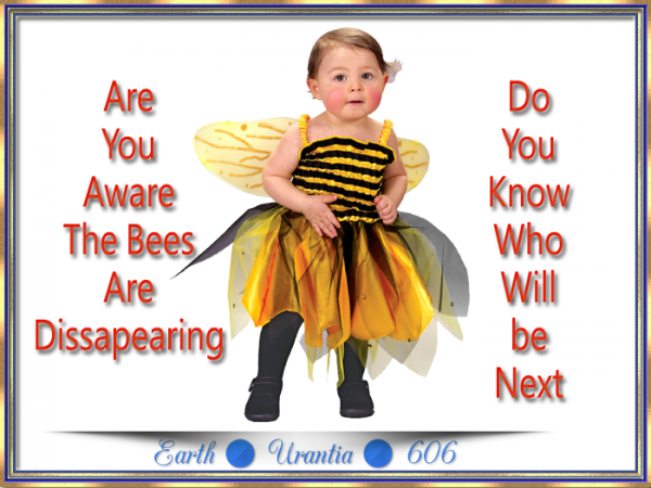 Are You Aware The Bees are Disappearing?