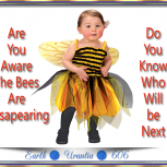 Are You Aware The Bees are Disappearing?