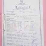 2019 Children's Report Cards