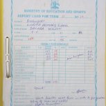 Report Cards 2nd Term 2019 Lubira Primary School Bugweri