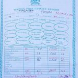 Report Cards 2nd Term 2019 Lubira Primary School Bugweri