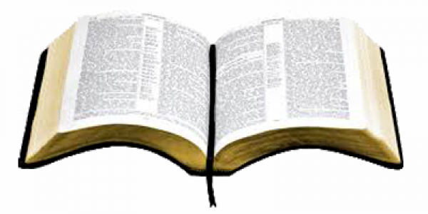 Bible01copy