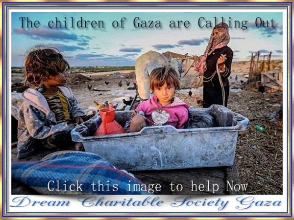 SlidesHasnaaMahmoudDreamCharitableSocietyGaza08