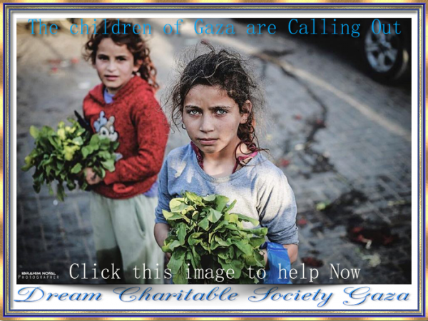 SlidesHasnaaMahmoudDreamCharitableSocietyGaza16