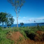 largethumb1571635436img_20191020_163431