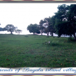 SlidesFriendsofBugalaislandvillagers05