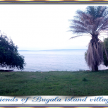 SlidesFriendsofBugalaislandvillagers06