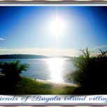 SlidesFriendsofBugalaislandvillagers10