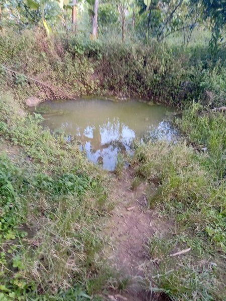 Phillimon Atiye-15.jpg