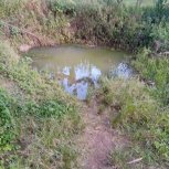 Phillimon Atiye-15.jpg