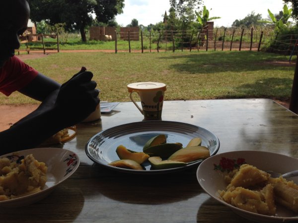 Breakfast porridge, mango and omelette 