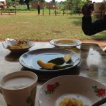 Breakfast porridge, mango and omelette 