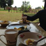 Breakfast porridge, mango and omelette 