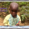 Tayebwa Innocent