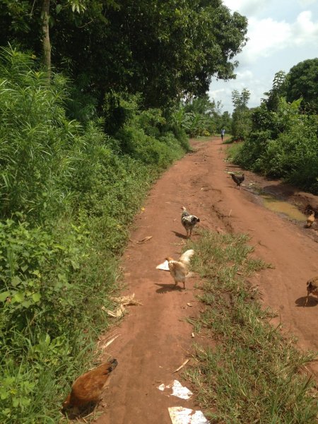 walking through the village visiting widows