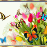 ButterfliesareFree01
