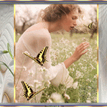 ButterfliesareFree03