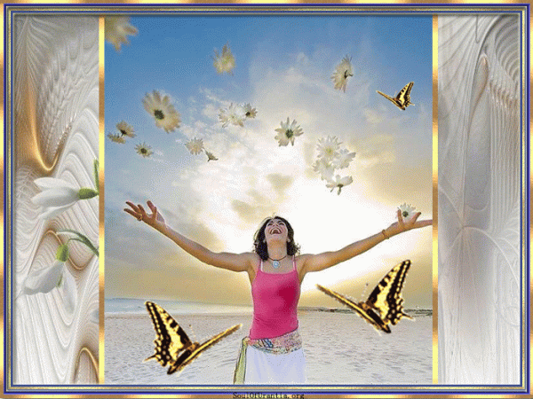 ButterfliesareFree04
