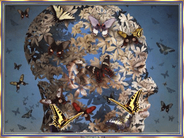 ButterfliesareFree07