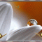 ButterfliesareFree32