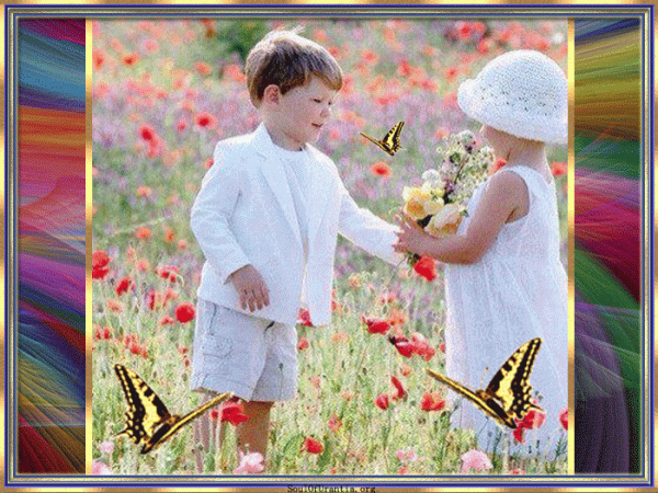 ButterfliesareFree36