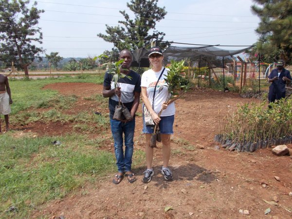 buying trees and planting them