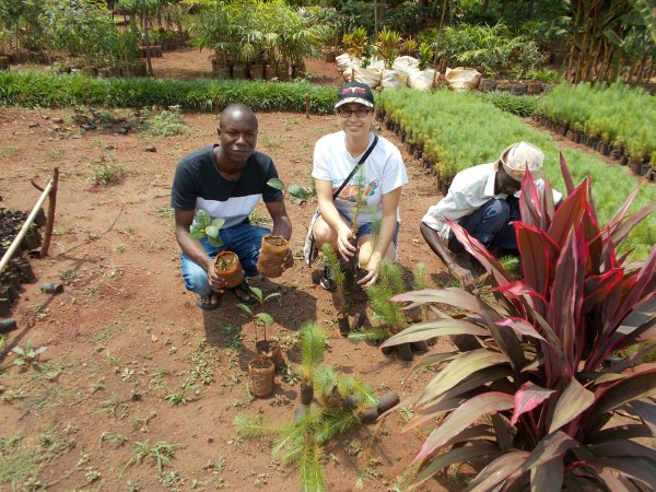 buying trees and planting them