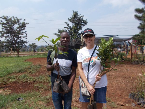 buying trees and planting them