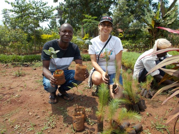 buying trees and planting them