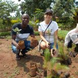 buying trees and planting them